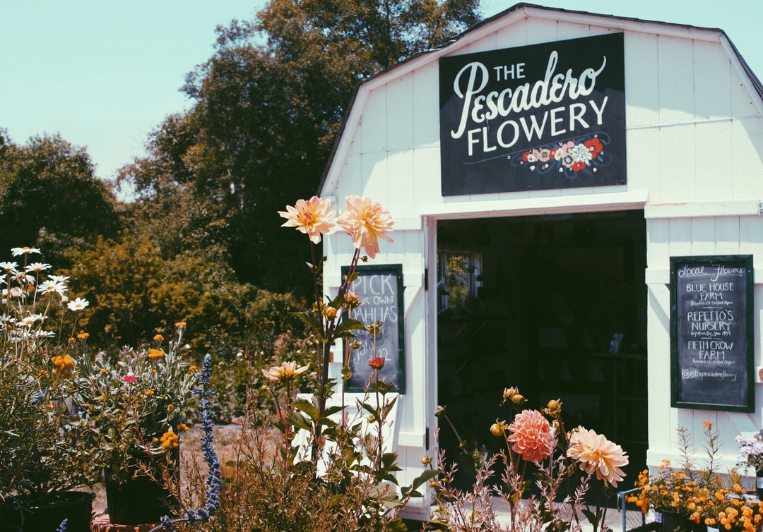 Opening flower basket · Education Center
